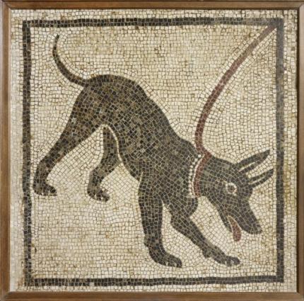 Roman Dogs_0.jpg